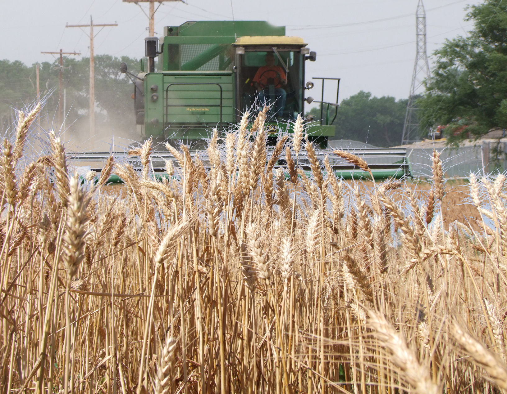 Harvest